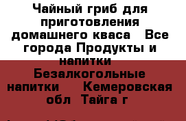 Чайный гриб для приготовления домашнего кваса - Все города Продукты и напитки » Безалкогольные напитки   . Кемеровская обл.,Тайга г.